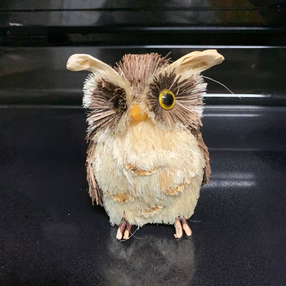 Fall Bottle Brush Owl - Picture 1 of 5